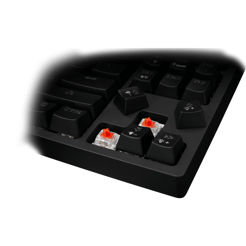 White Shark Premium - TKL Gaming Keyboard Kodachi - Red Switches - GameBrands